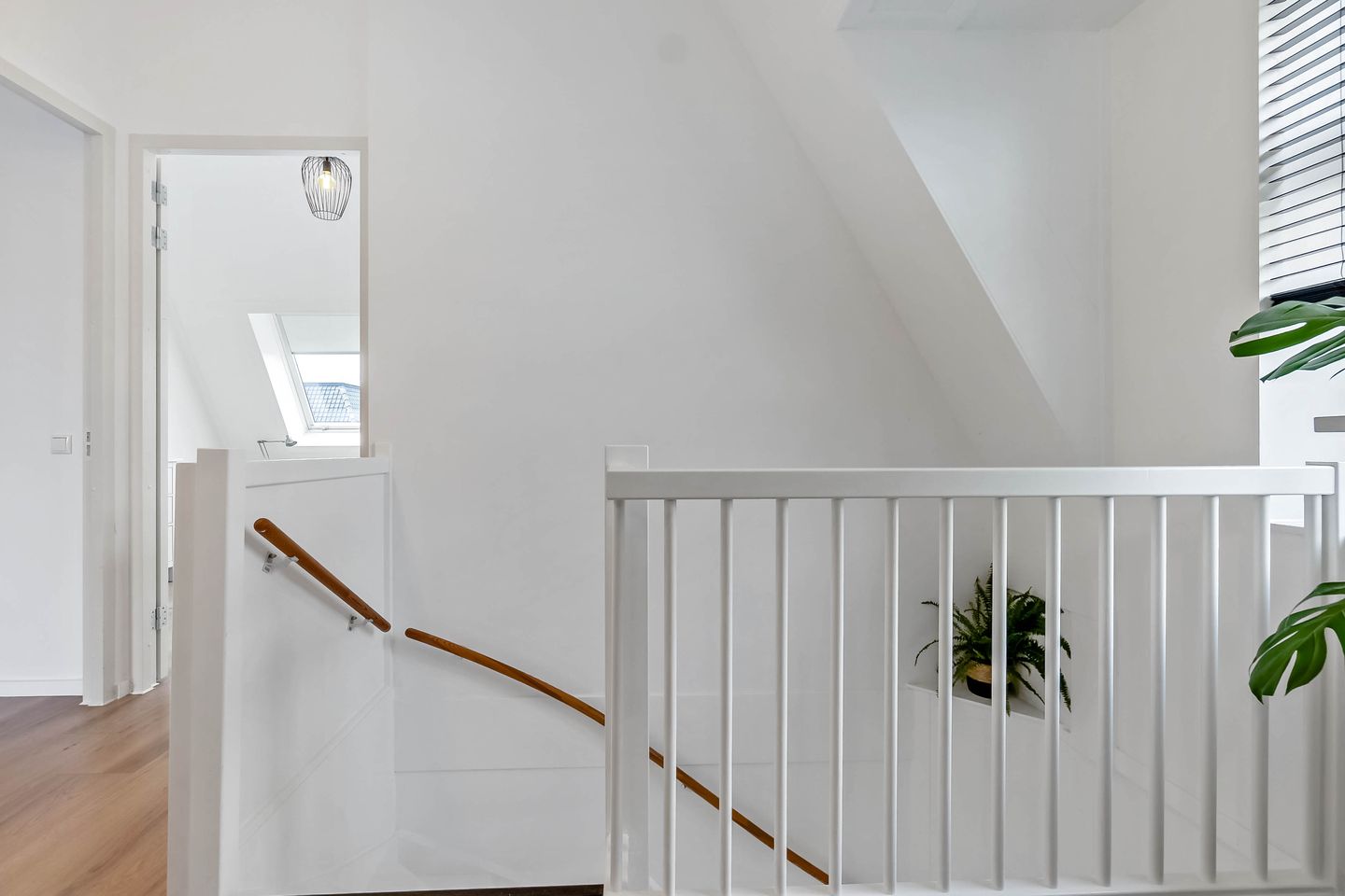 Foto 50 van Thomas Mannsingel 23