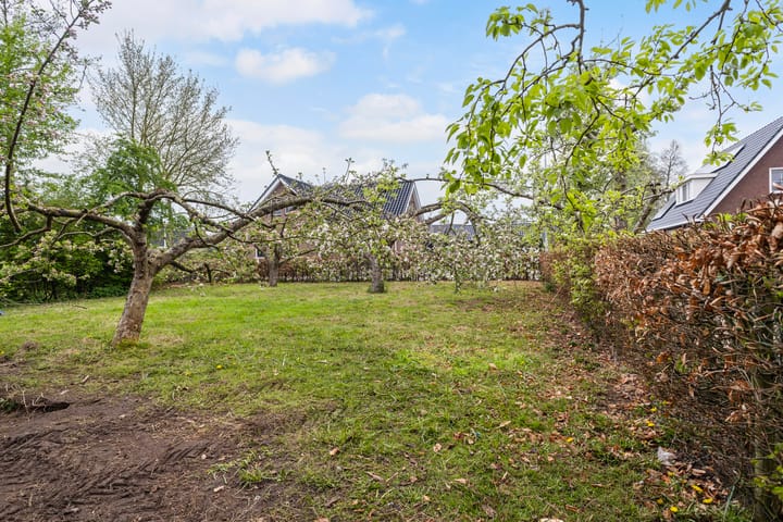 Foto 39 van Bumawei 20