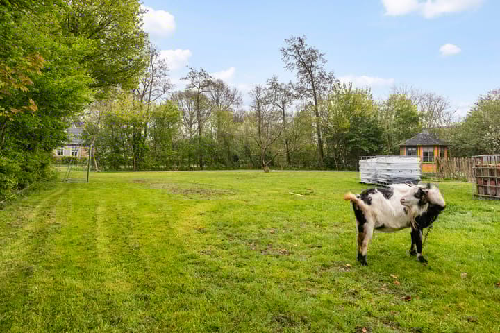 Foto 41 van Bumawei 20