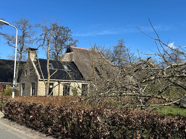 Foto 51 van Bumawei 20