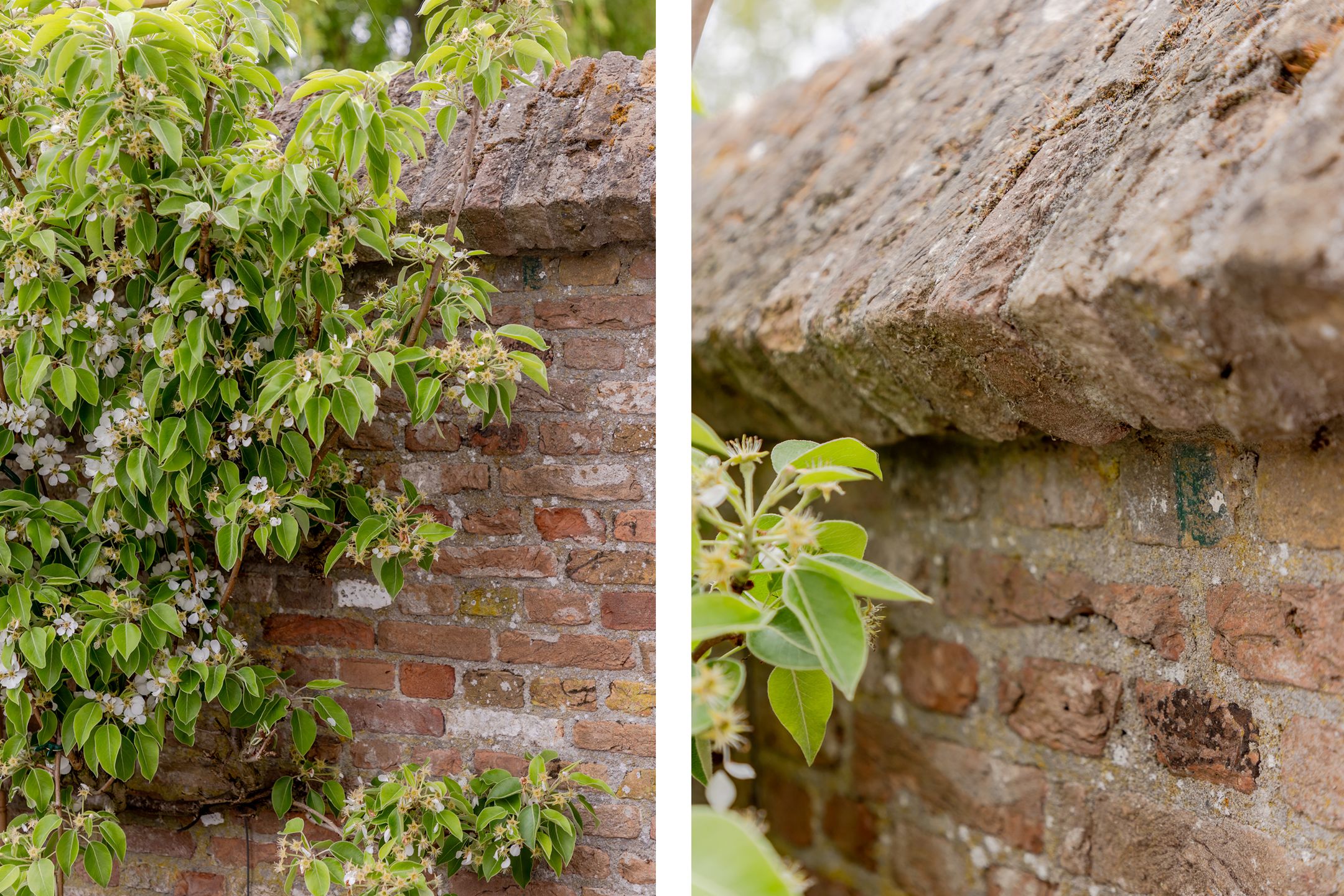 Foto 30 van Vestingpad 1