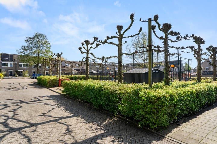 Foto 6 van Ooievaarsbek 38