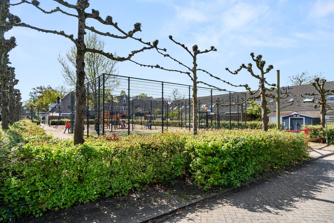 Foto 7 van Ooievaarsbek 38