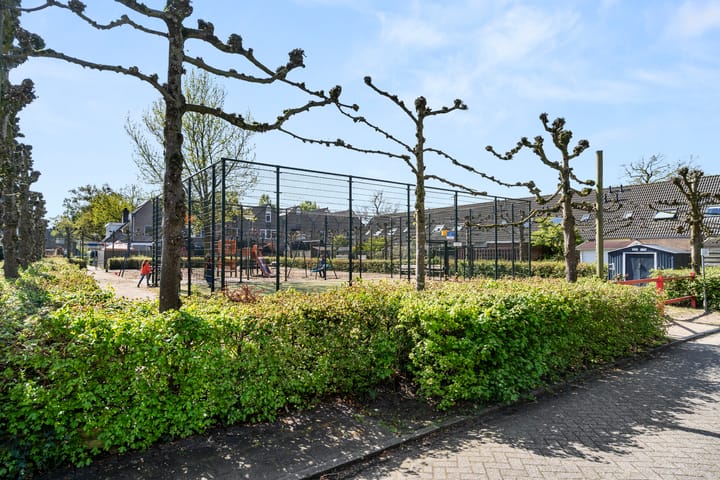 Foto 7 van Ooievaarsbek 38