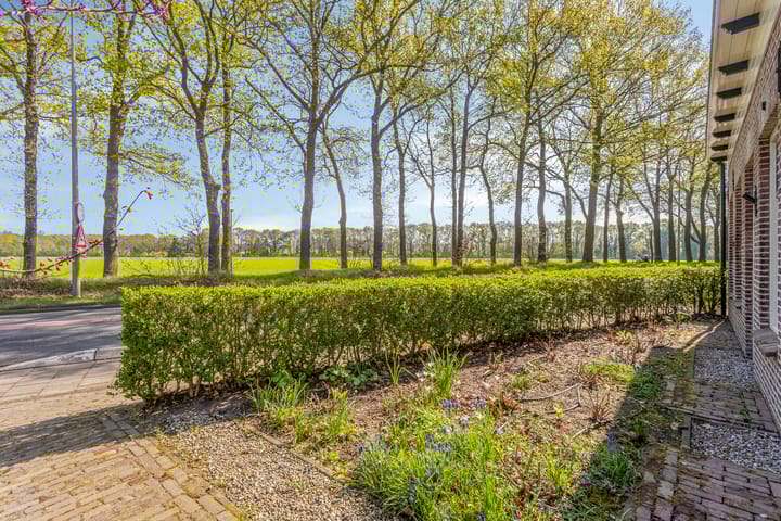 Foto 5 van Elsterstraatweg 29