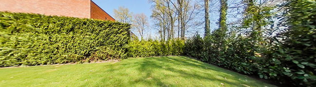 Achtertuin