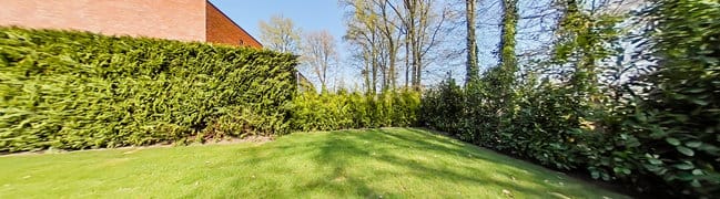 Achtertuin