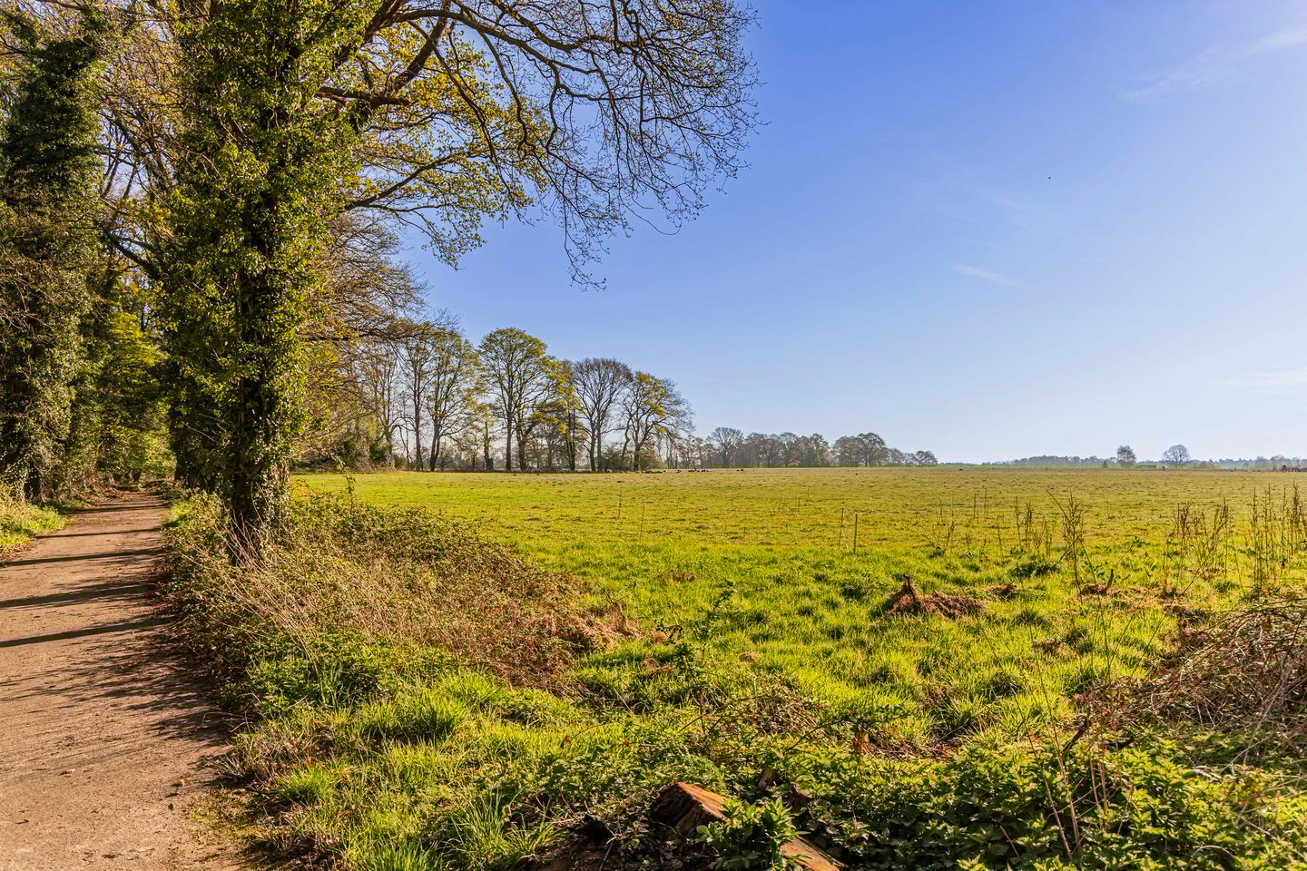 Schoolkaterdijk 80 - Haaksbergen - Afbeelding 2