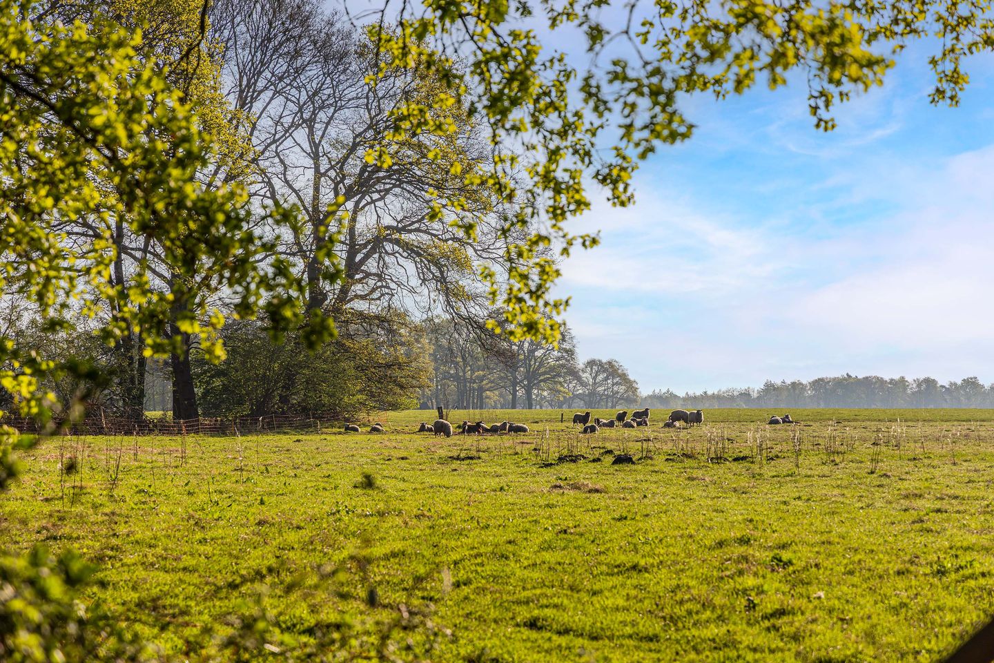 Schoolkaterdijk 80 - Haaksbergen - Afbeelding 5
