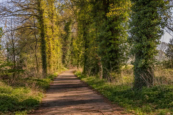 Foto 7 van Schoolkaterdijk 80