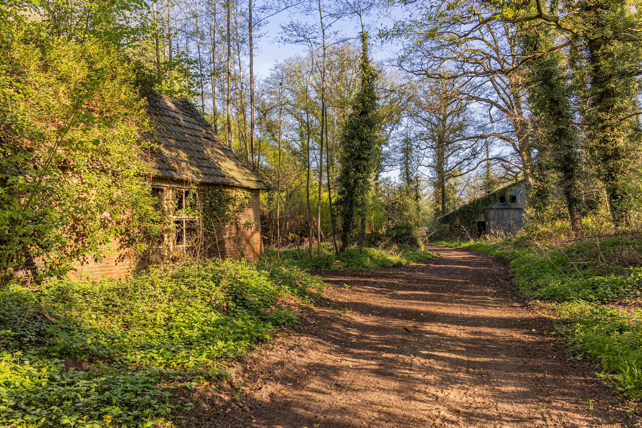 Foto 9 van Schoolkaterdijk 80