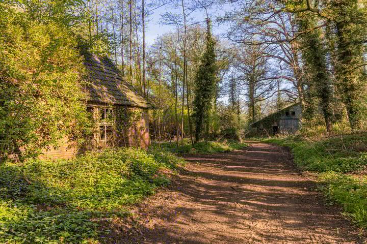 Foto 9 van Schoolkaterdijk 80