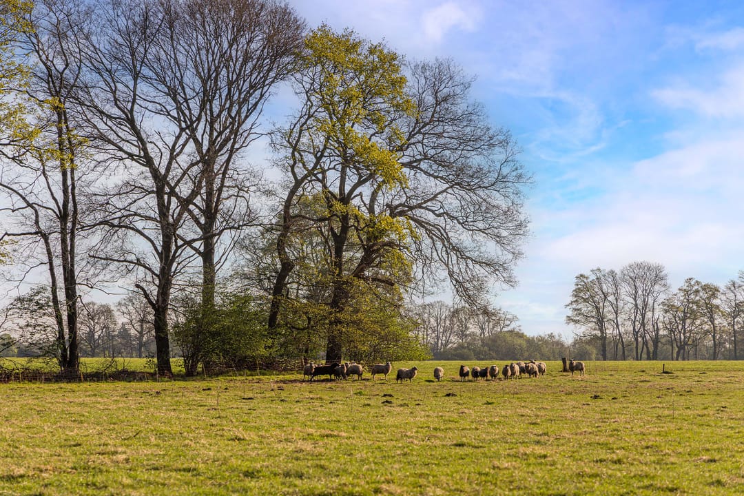 Foto 11 van Schoolkaterdijk 80