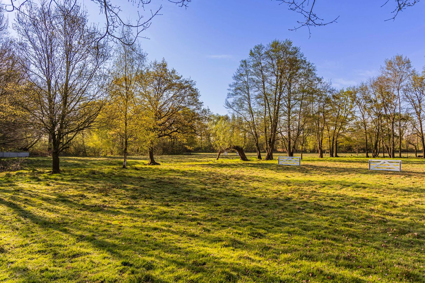 Foto 14 van Schoolkaterdijk 80