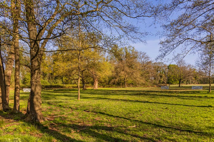 Foto 15 van Schoolkaterdijk 80