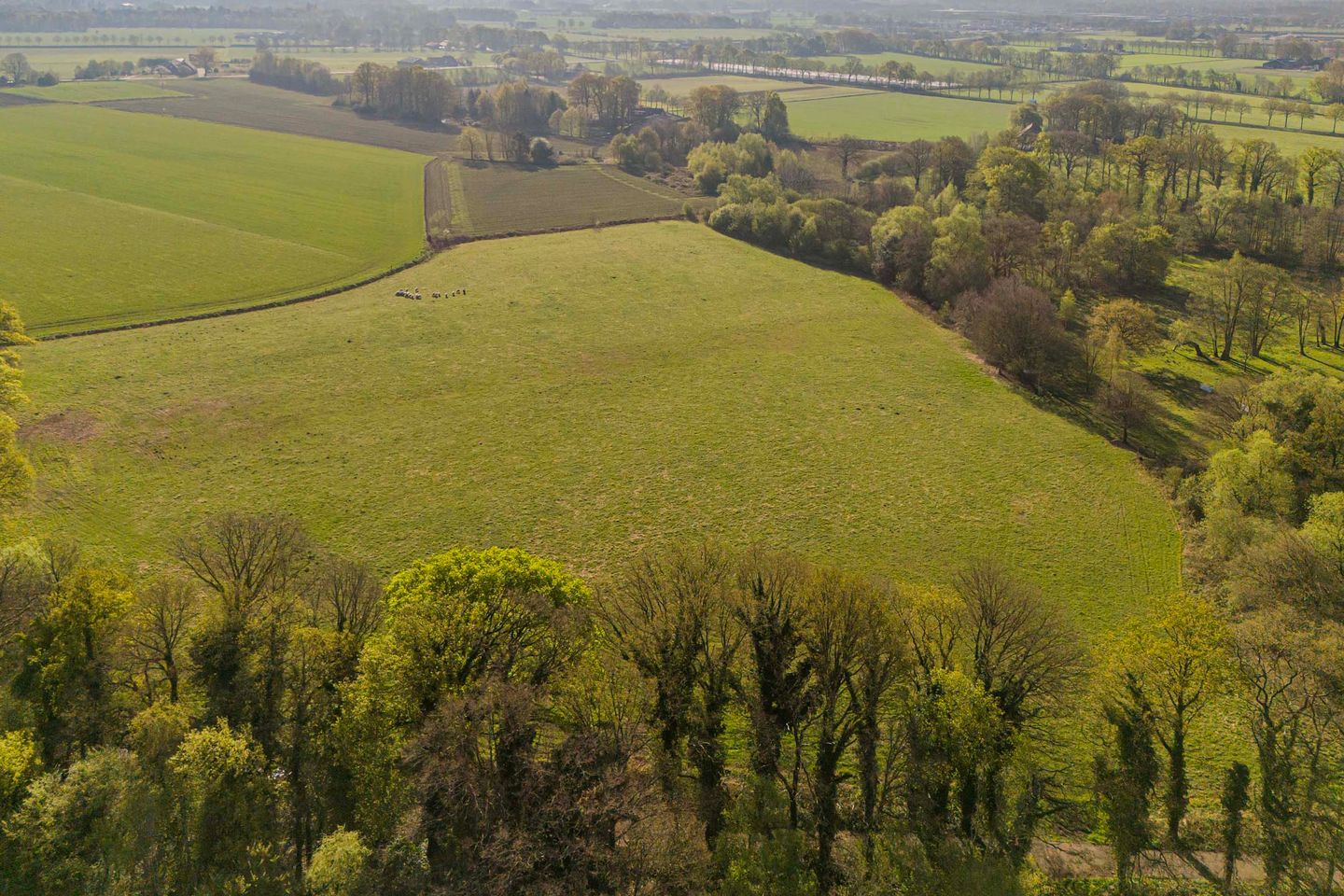 Foto 20 van Schoolkaterdijk 80