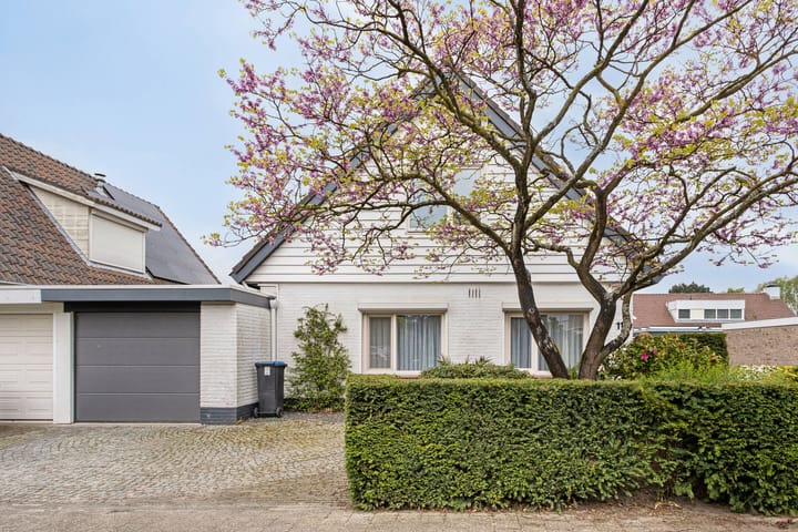 Foto 3 van Jan van Goijenstraat 11