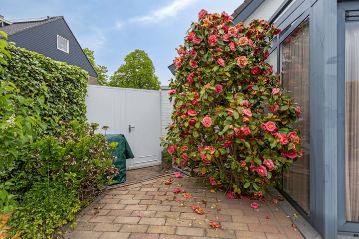 Foto 56 van Jan van Goijenstraat 11