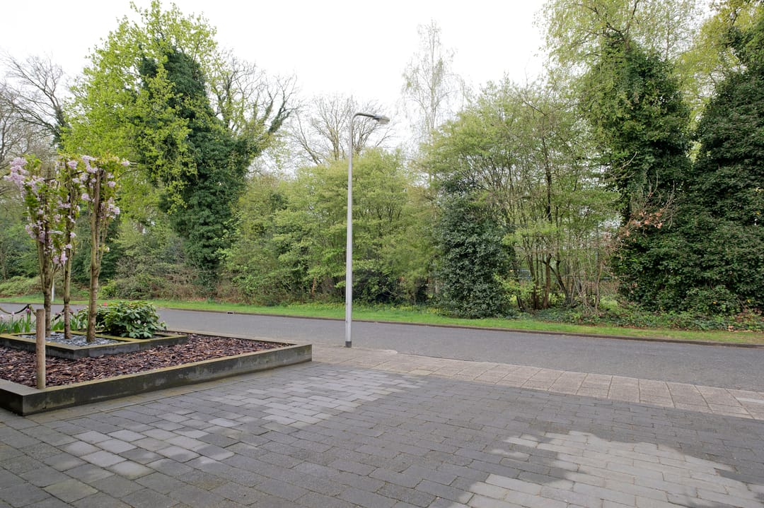 Foto 56 van Riegheidestraat 51