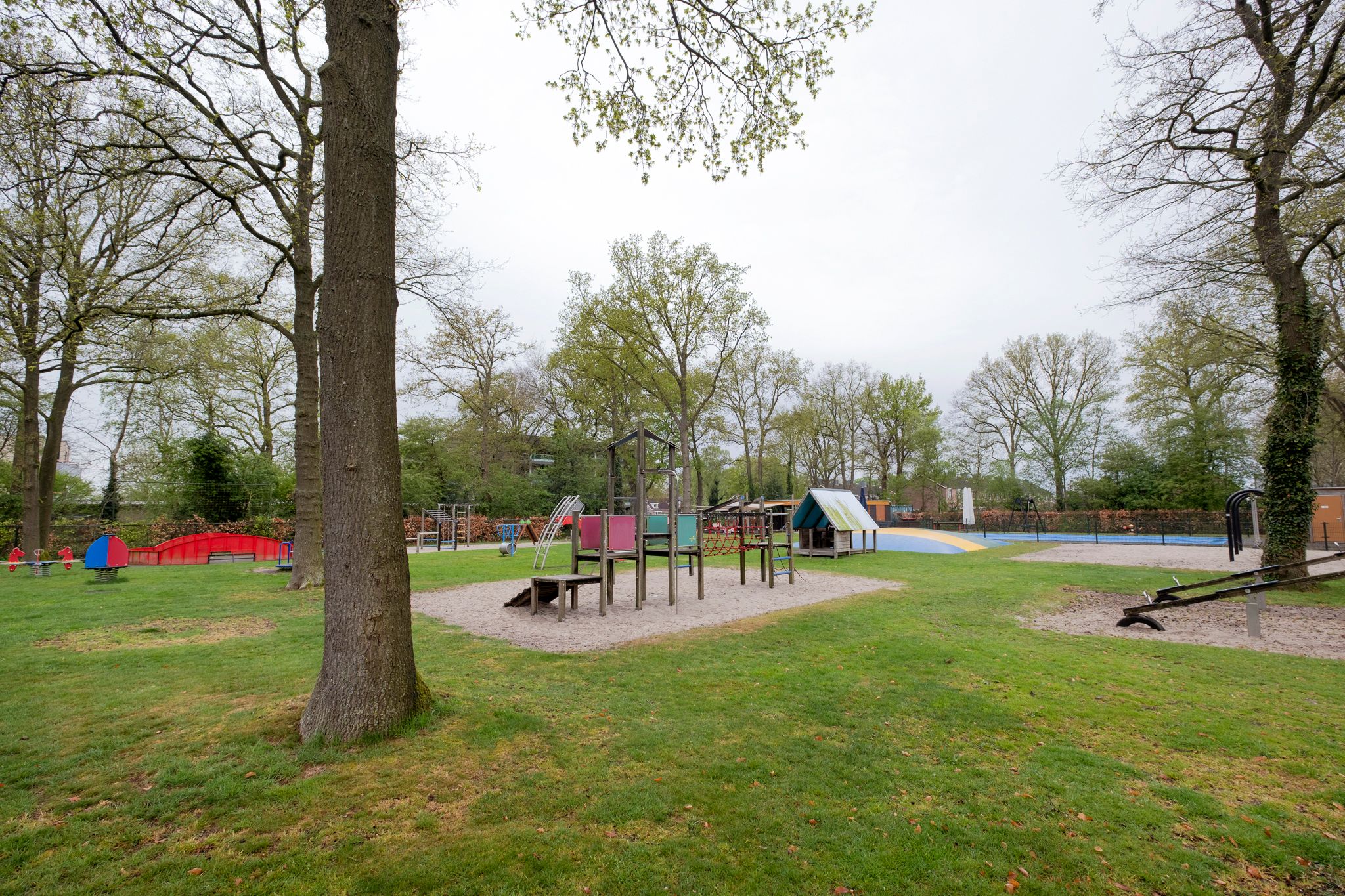 Foto 57 van Riegheidestraat 51