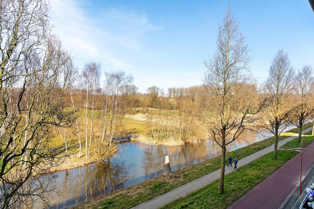 Foto 38 van Essehout 106