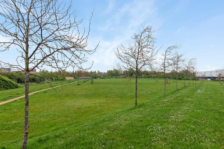 Foto 37 van Klaproos 51