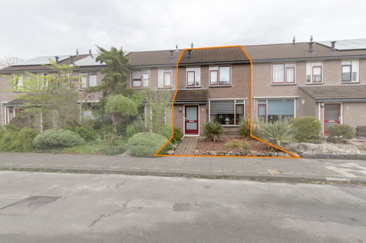 undefined main image