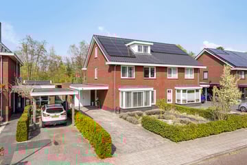 Kievitstraat thumbnail