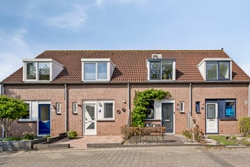 Brabant Wal thumbnail