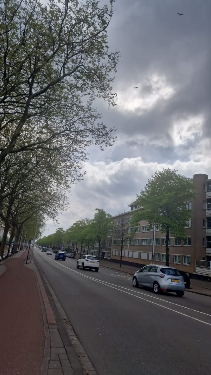 Foto 21 van Troelstrakade 29