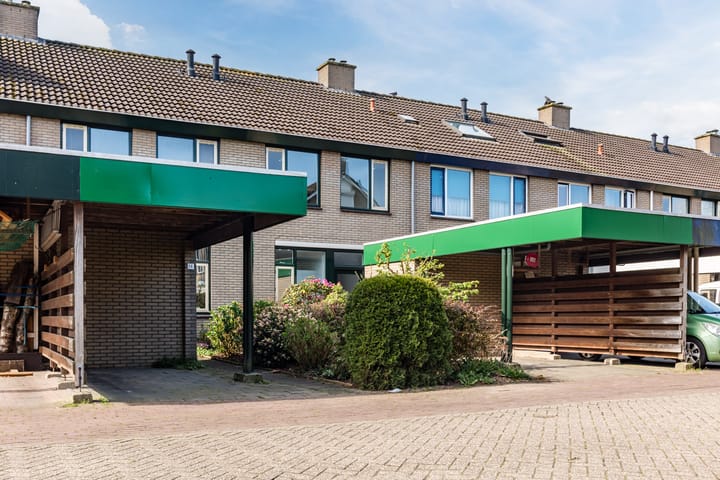 undefined main image