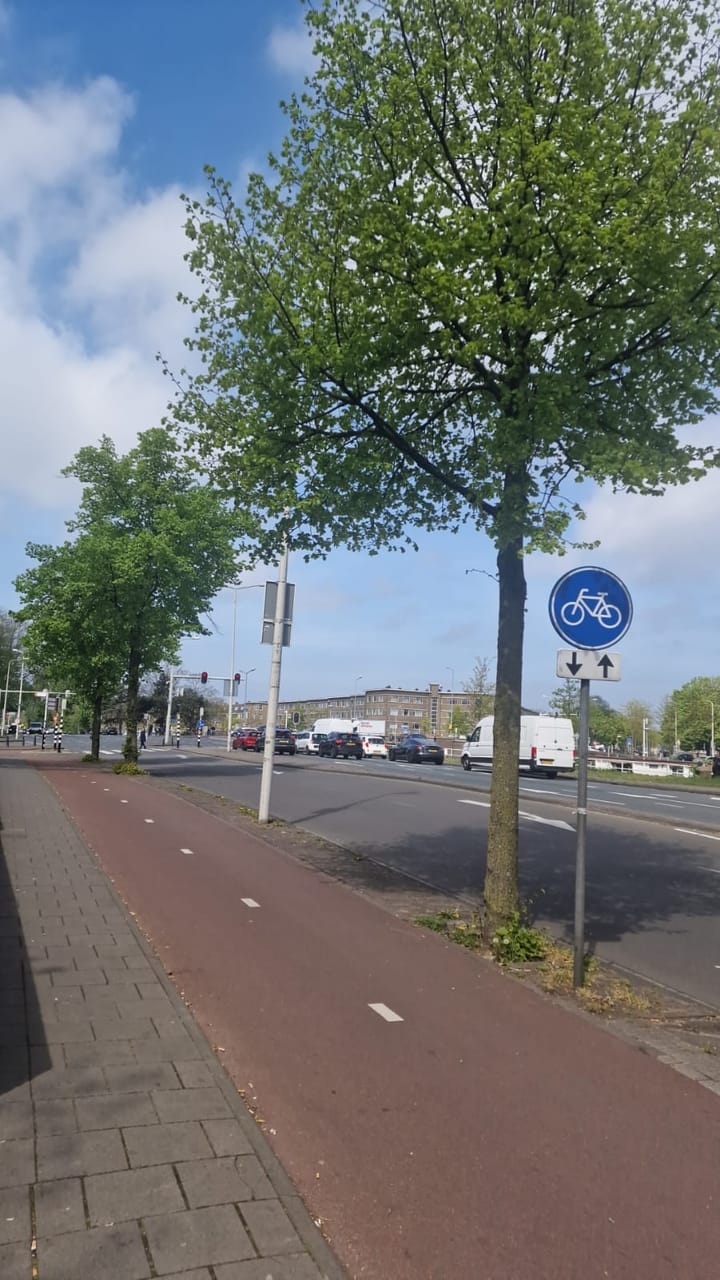 Foto 39 van Troelstrakade 29