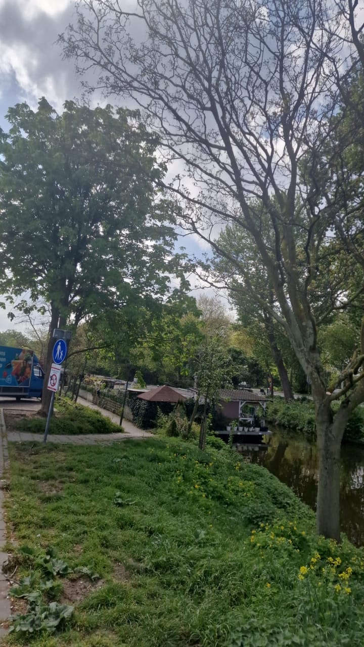 Foto 40 van Troelstrakade 29