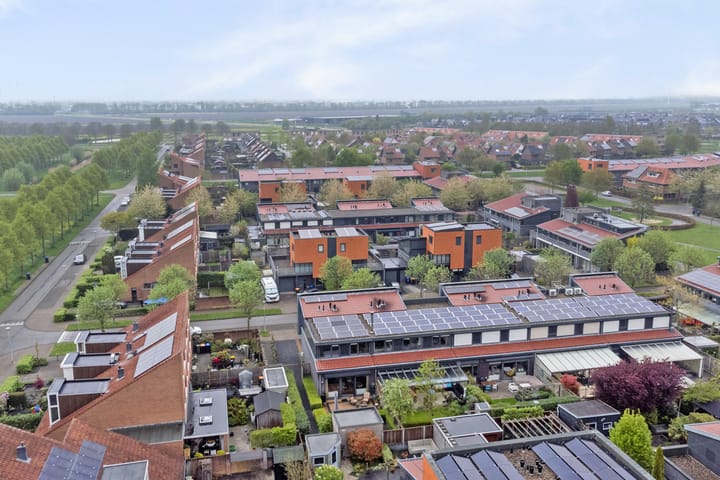 Foto 40 van Raaigras 2