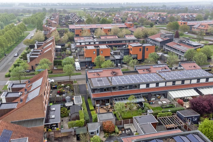 Foto 41 van Raaigras 2