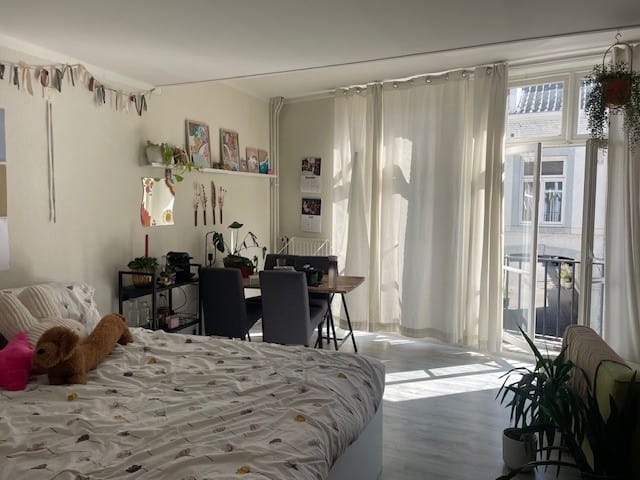 Foto 11 van Brusselsestraat 94