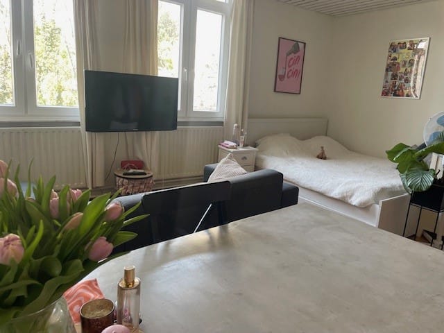 Foto 13 van Brusselsestraat 94