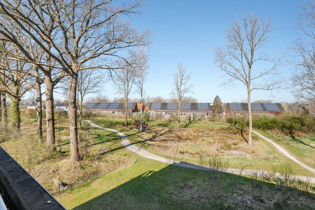 Foto 32 van Havelter Schapendrift 22-10