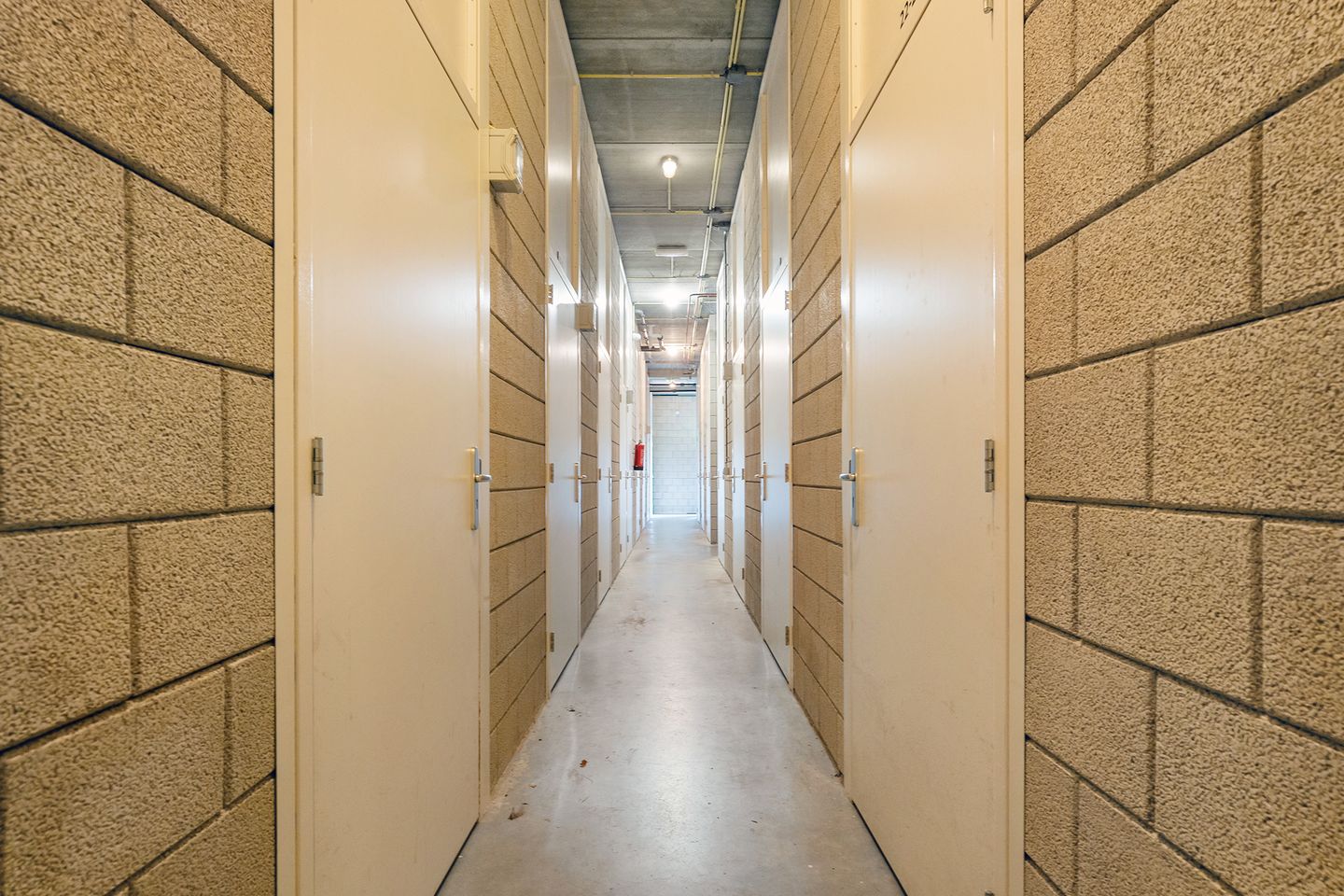 Foto 40 van Havelter Schapendrift 22-10