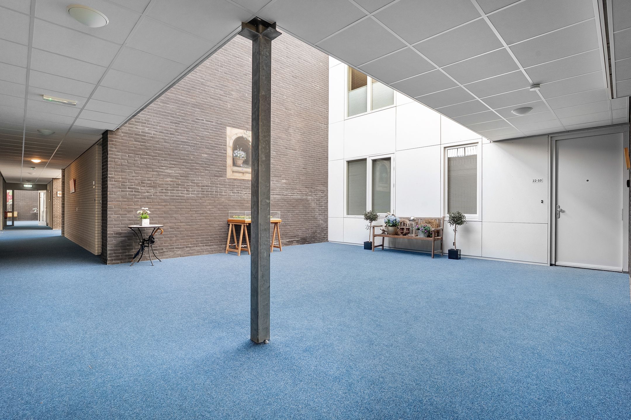 Foto 42 van Havelter Schapendrift 22-10