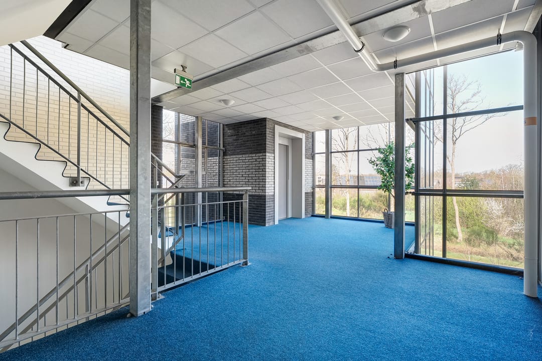 Foto 41 van Havelter Schapendrift 22-10