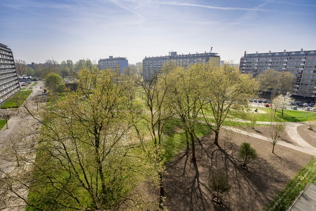 Photo 7 of Bachplein 408