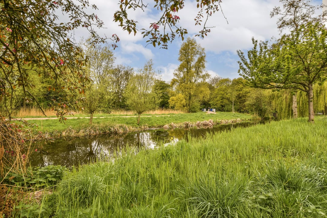 Foto 31 van Nieuwe Zonneweg 11