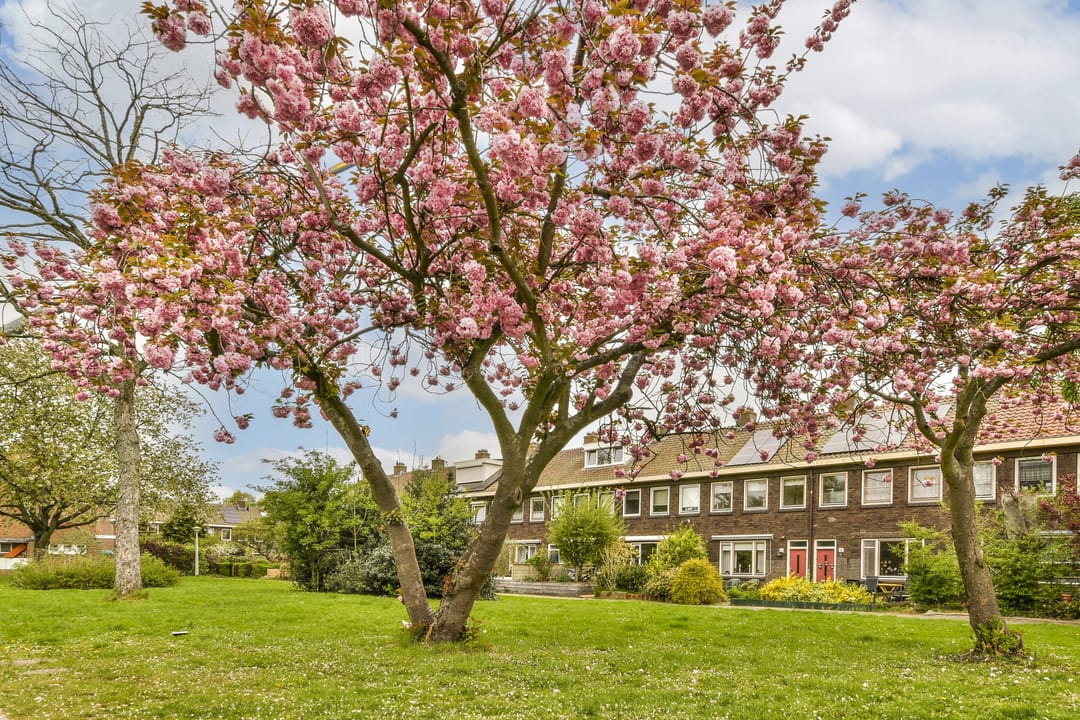 Foto 32 van Nieuwe Zonneweg 11