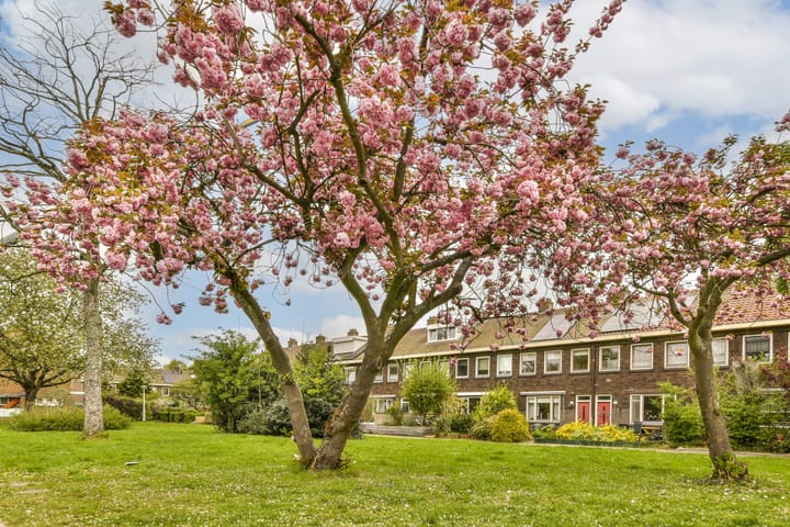 Foto 32 van Nieuwe Zonneweg 11