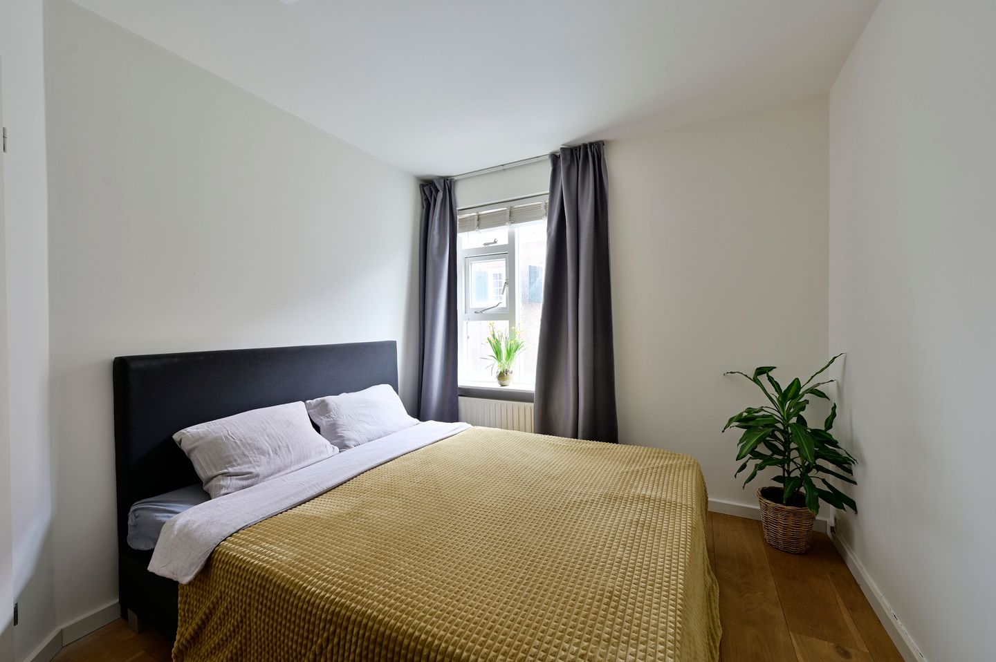 Foto 14 van Coninckstraat 12-A