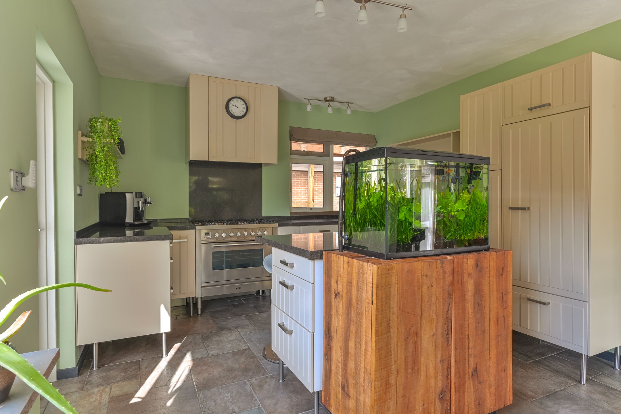 Foto 30 van Iebeern 1