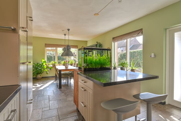 Foto 34 van Iebeern 1