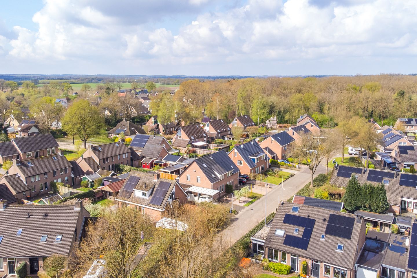 Foto 74 van Iebeern 1