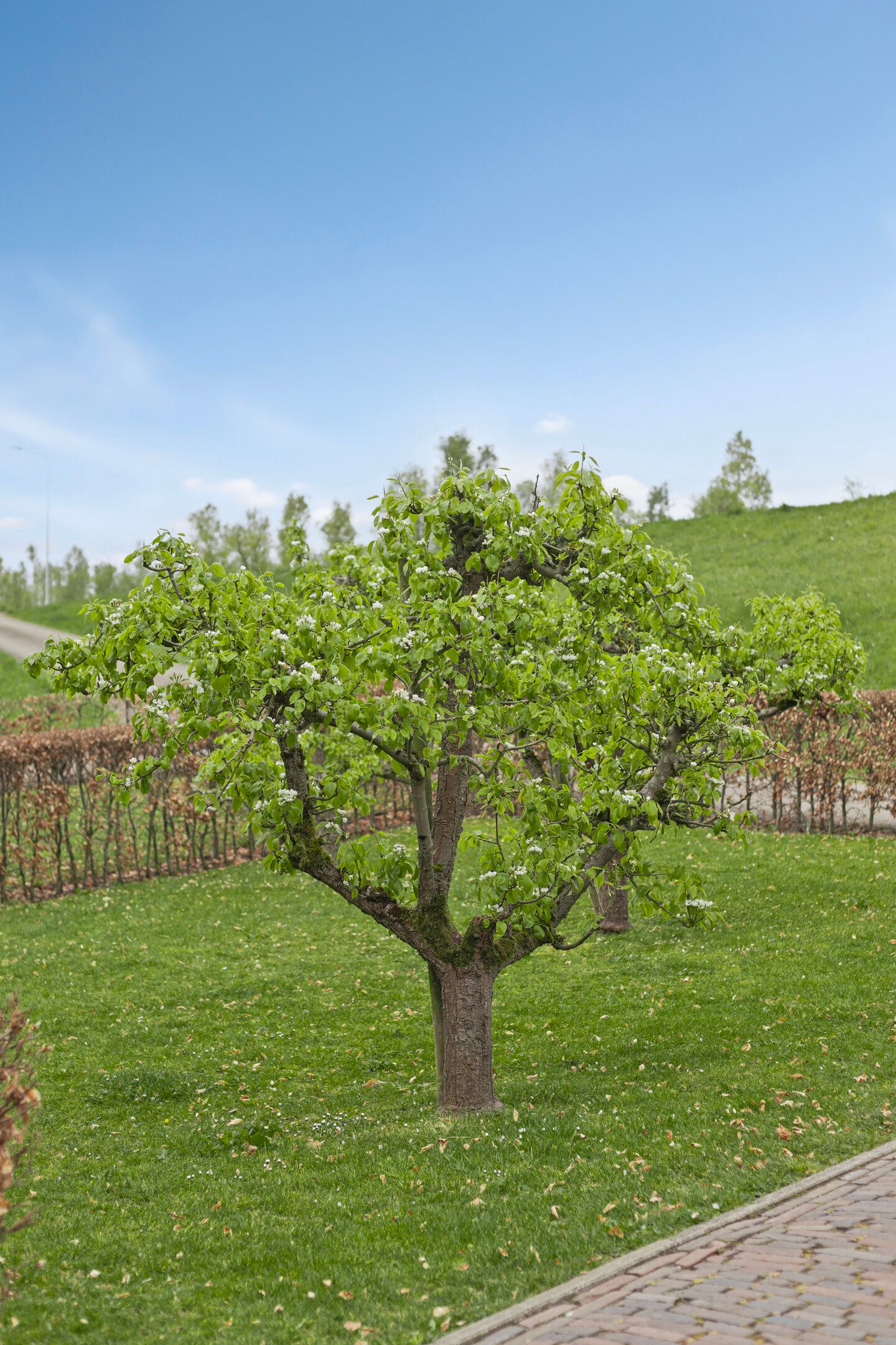 Photo 51 of Waalbandijk 77